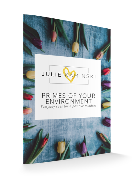 Environnement Primes tool by Julie Kaminski