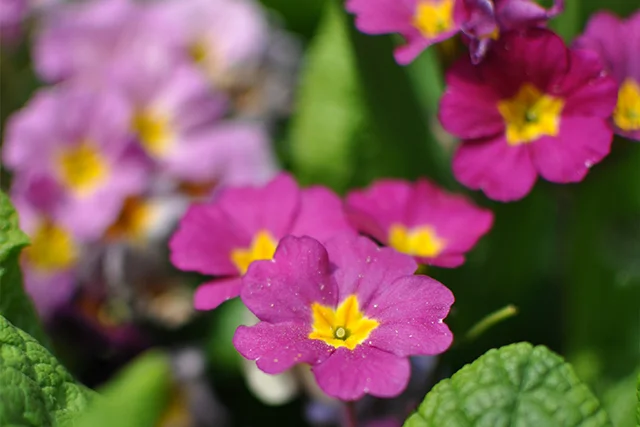 A Gentle Mid-Season Check-In