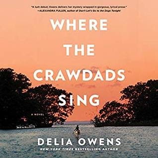 Where the Crawdads Sing audiobook review